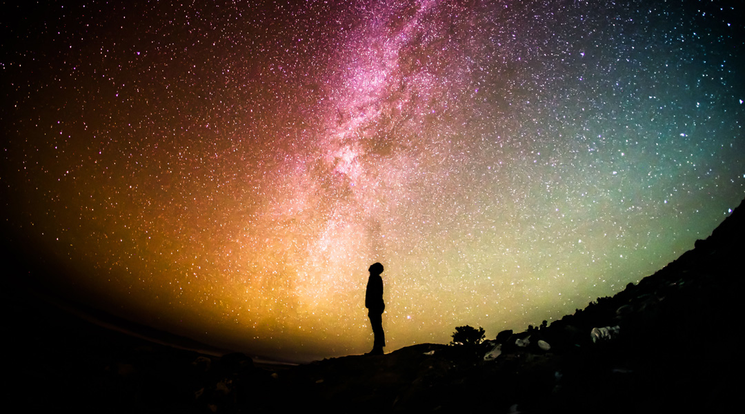 Dragon Nation Gazing-at-Stars